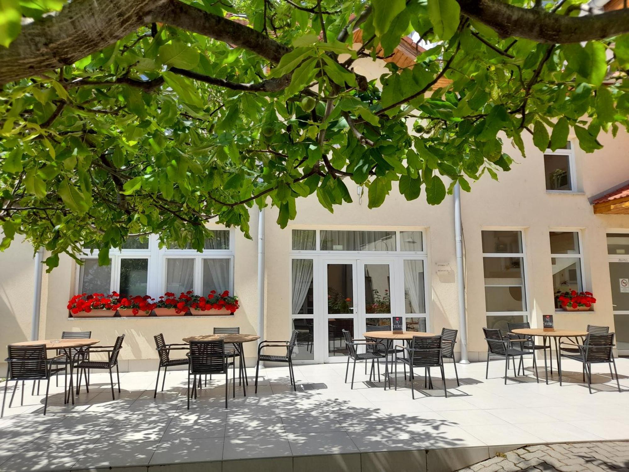 Hotel Platan Székesfehérvár Exteriér fotografie